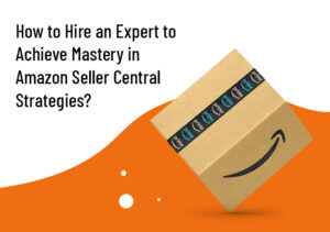 How To Hire An Expert To Achieve Mastery In Amazon Seller Central Strategies